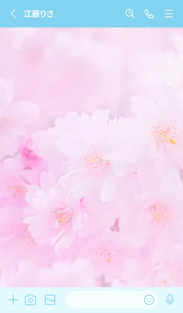 [LINE着せ替え] Real double cherry blossom #6-5の画像2