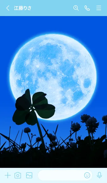 [LINE着せ替え] Real Moon & 7-Leaf Clover #1-2の画像2