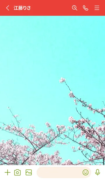 [LINE着せ替え] 幸せ桜と青空の着せかえ/レッド/グリーンの画像2