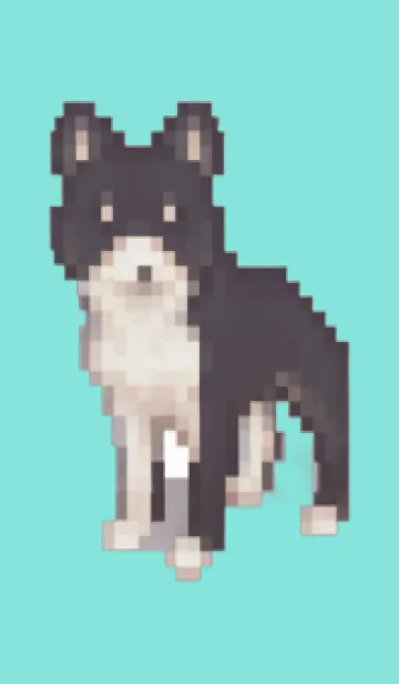 [LINE着せ替え] 黒い犬のドット絵のきせかえ Green 09の画像1