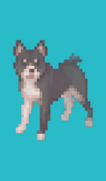 [LINE着せ替え] 黒い犬のドット絵のきせかえ Green 06の画像1