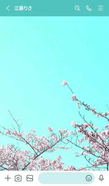 [LINE着せ替え] 幸せ桜と青空の着せかえ/ビリジアンの画像2