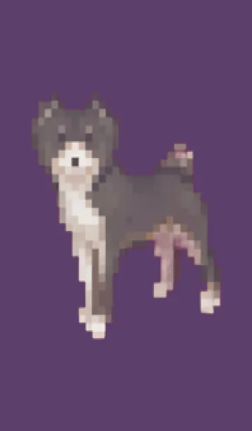 [LINE着せ替え] 黒い犬のドット絵のきせかえ Purple 05の画像1