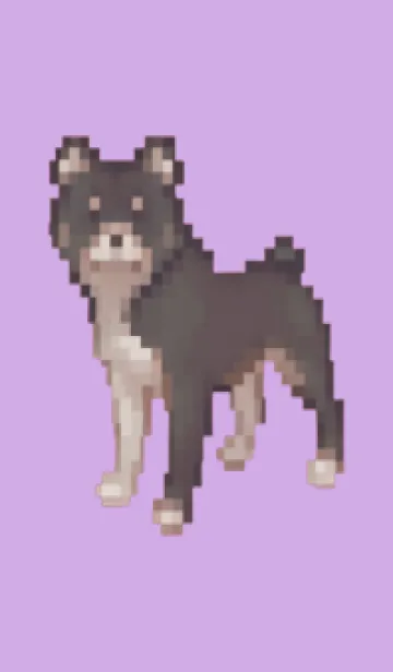 [LINE着せ替え] 黒い犬のドット絵のきせかえ Purple 02の画像1