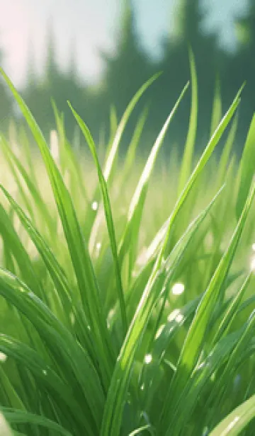 [LINE着せ替え] 美しい緑の芝生 04の画像1