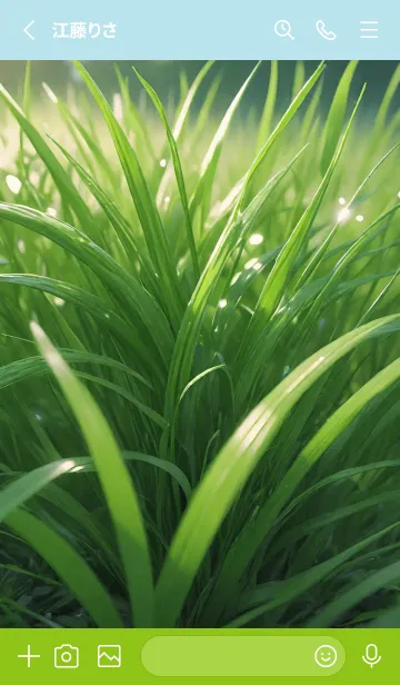 [LINE着せ替え] 美しい緑の芝生 04の画像2