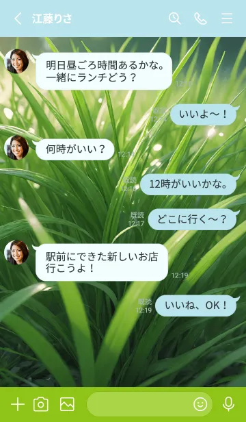 [LINE着せ替え] 美しい緑の芝生 04の画像3