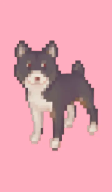 [LINE着せ替え] 黒い犬のドット絵のきせかえ Pink 04の画像1