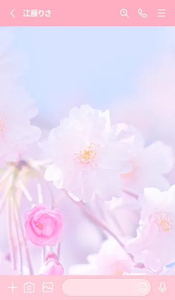 [LINE着せ替え] Sakura Photo 291 Not AIの画像2