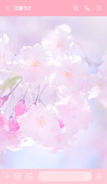 [LINE着せ替え] Sakura Photo 293 Not AIの画像2