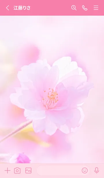 [LINE着せ替え] Real double cherry blossom #7-5の画像2