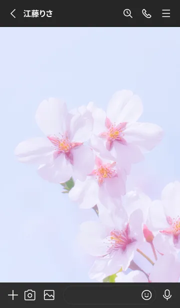[LINE着せ替え] Real cherry blossom #8-5の画像2