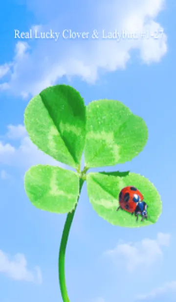 [LINE着せ替え] Real Lucky Clover & Ladybird #1-27の画像1
