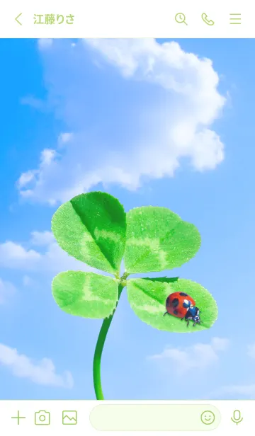 [LINE着せ替え] Real Lucky Clover & Ladybird #1-27の画像2