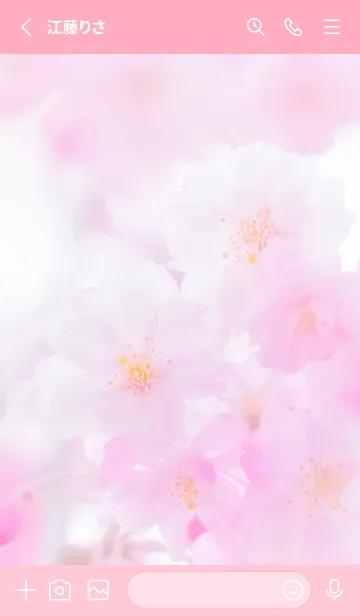 [LINE着せ替え] Real double cherry blossom #1-6の画像2