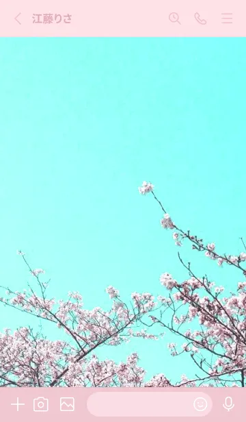 [LINE着せ替え] 幸せ桜と青空の着せかえ/ローズピンクの画像2