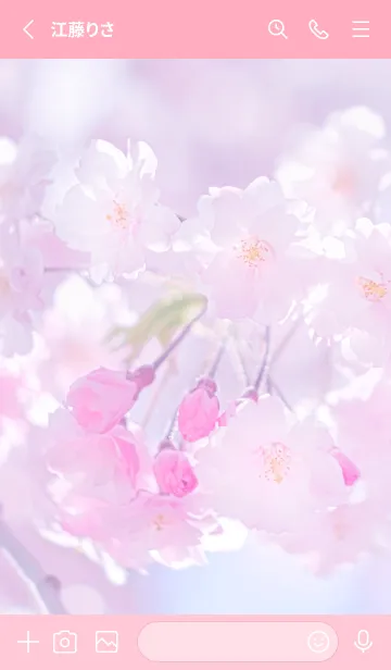 [LINE着せ替え] Sakura Photo 294 Not AIの画像2