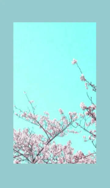 [LINE着せ替え] 幸せ桜と青空/くすみミントグリーンの画像1