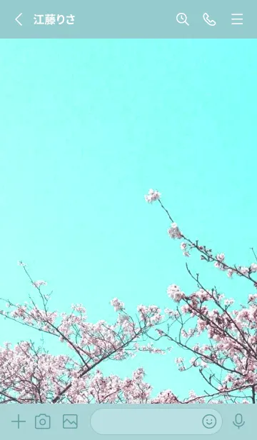 [LINE着せ替え] 幸せ桜と青空/くすみミントグリーンの画像2