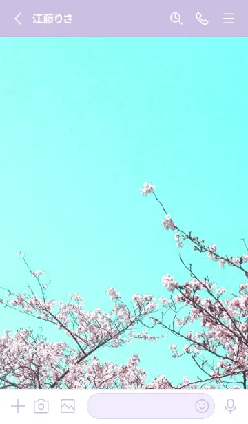 [LINE着せ替え] 幸せ桜と青空の着せかえ/くすみパープルの画像2