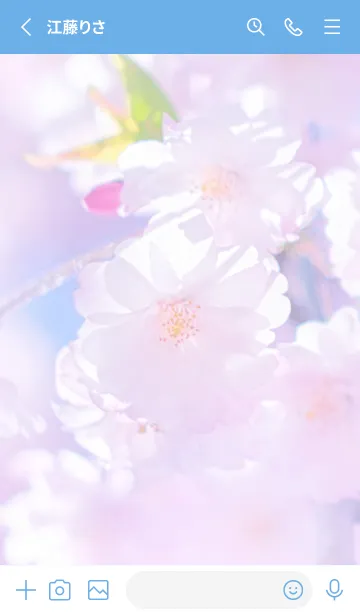 [LINE着せ替え] Sakura Photo 298 Not AIの画像2