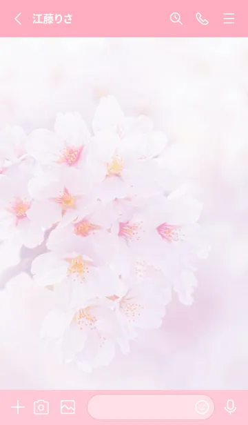 [LINE着せ替え] Real cherry blossom #3-6の画像2