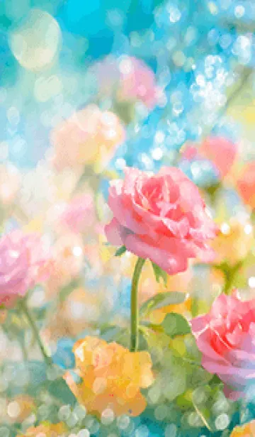 [LINE着せ替え] 薔薇(バラ)の花の着せかえ(R3637)の画像1