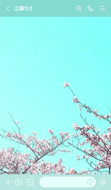 [LINE着せ替え] 幸せ桜と青空/エメラルドグリーンの画像2