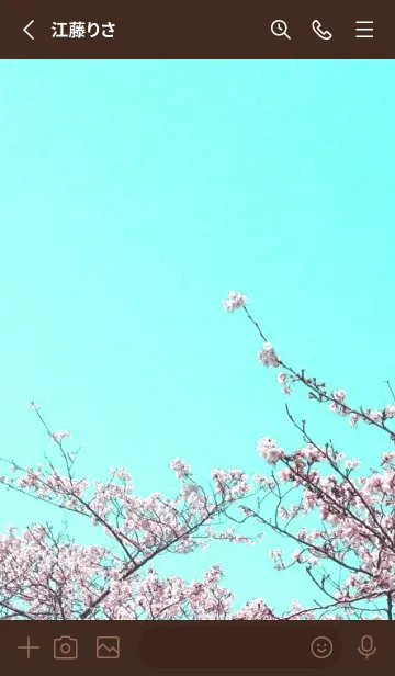 [LINE着せ替え] 幸せ桜と青空の着せかえ/ディープブラウンの画像2