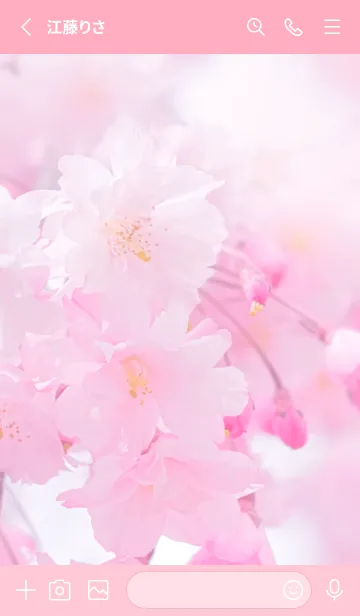 [LINE着せ替え] Sakura Photo 301 Not AIの画像2