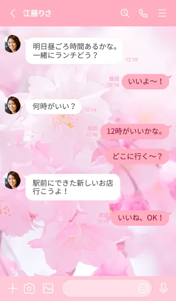 [LINE着せ替え] Sakura Photo 301 Not AIの画像3