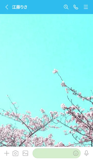 [LINE着せ替え] 幸せ桜と青空の着せかえ/ブルー/グリーンの画像2