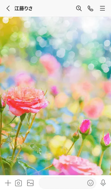 [LINE着せ替え] 薔薇(バラ)の花の着せかえ(R3648)の画像2