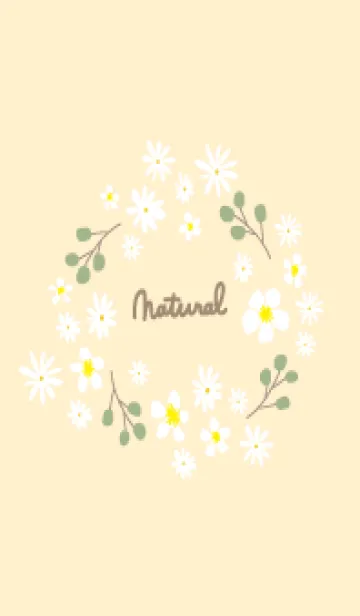 [LINE着せ替え] 白い花とオリーブのリース12の画像1