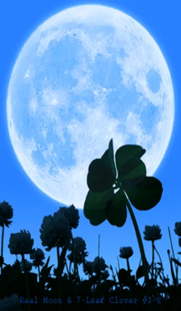 [LINE着せ替え] Real Moon & 7-Leaf Clover #2-2の画像1