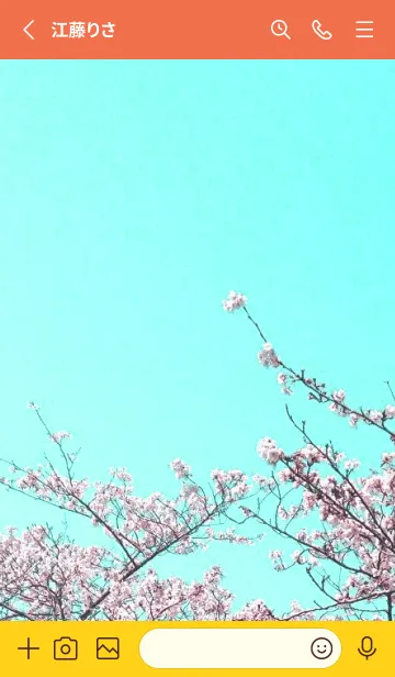 [LINE着せ替え] 幸せ桜と青空/アプリコットカラーの画像2