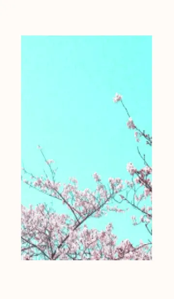 [LINE着せ替え] 幸せ桜と青空の着せかえ/クリームピンクの画像1