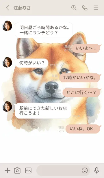 [LINE着せ替え] 柴犬のやさしいまなざし'の画像3