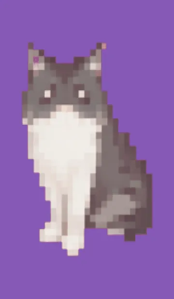 [LINE着せ替え] 黒いネコのドット絵のきせかえ Purple 01の画像1