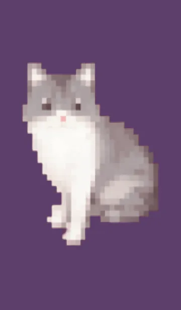 [LINE着せ替え] 黒いネコのドット絵のきせかえ Purple 05の画像1