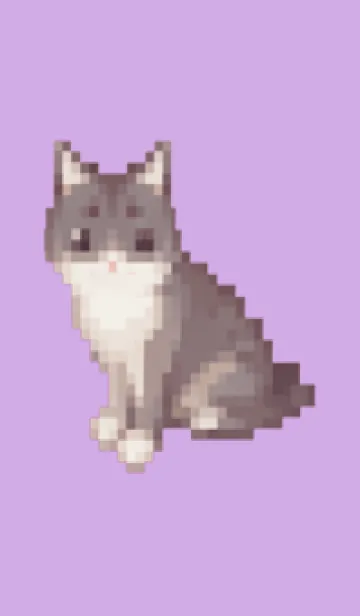 黒いネコのドット絵のきせかえ Purple 02の着せ替えメイン画像