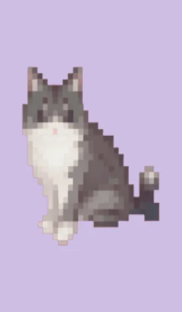 [LINE着せ替え] 黒いネコのドット絵のきせかえ Purple 04の画像1