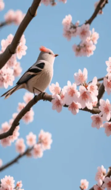 [LINE着せ替え] 浮世絵桜の季節 DlXTOの画像1