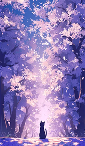 [LINE着せ替え] 深夜の静けさ：夜桜の中で空を見上げる猫の画像1
