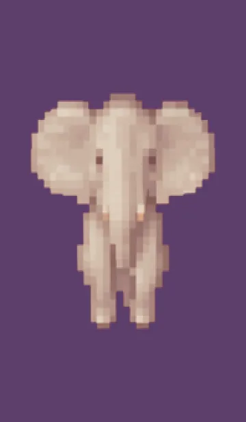 [LINE着せ替え] ゾウのドット絵のきせかえ Purple 05の画像1