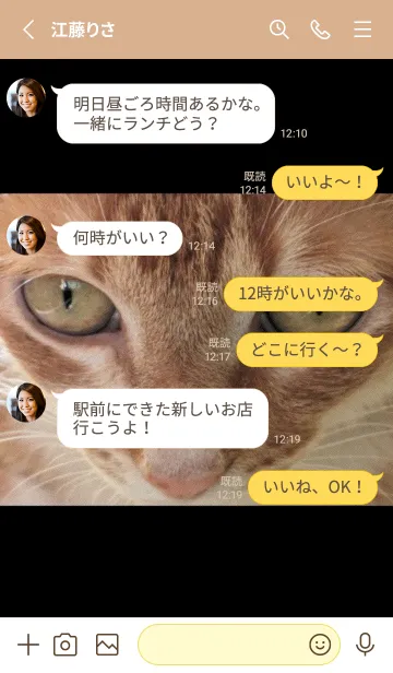 [LINE着せ替え] かわいい家の猫 TxAmMの画像3
