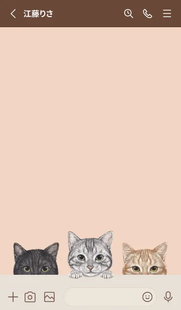 [LINE着せ替え] 猫！ - アメショ - シェルピンクの画像2