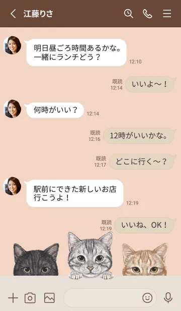 [LINE着せ替え] 猫！ - アメショ - シェルピンクの画像3