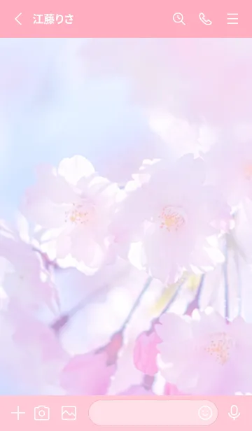 [LINE着せ替え] Sakura Photo 308 Not AIの画像2