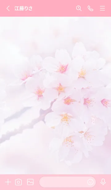 [LINE着せ替え] Real cherry blossom #4-6の画像2